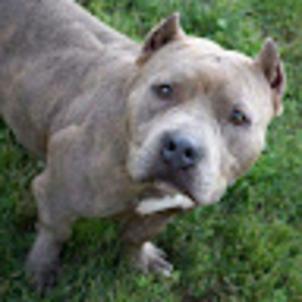 Meet your Posher, Debria